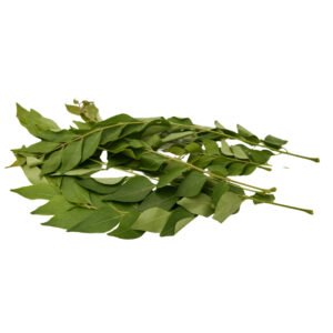 Curry Leaves
