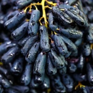 Black Grapes (Australian)