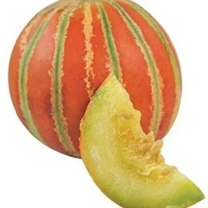MUSKMELON