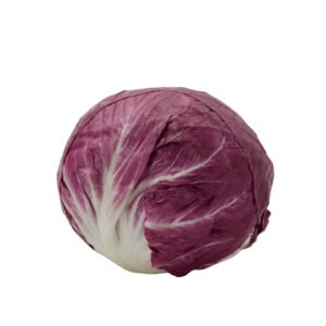 RED ICEBERG LETTUCE (Red Iceberg Salad Patta)
