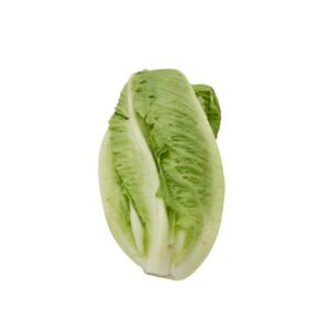 ROMAINE LETTUCE (SALAD PATTA)