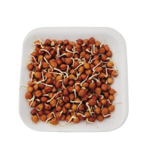 SPROUT (CHANA) ANKURIT CHANA