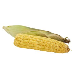 SWEET CORN (MAKKA)