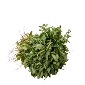 FENUGREEK (METHI)