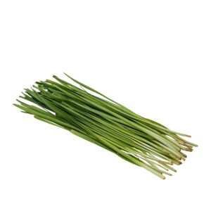 GARLIC CHIVES