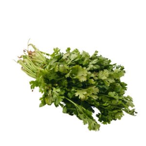 GREEN CORIANDER (HARI DHANIYA)