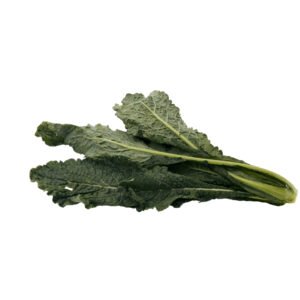 KALE LEAVES