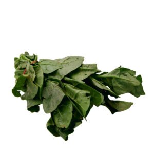 PUI SAAG (MALABAR SPINACH)
