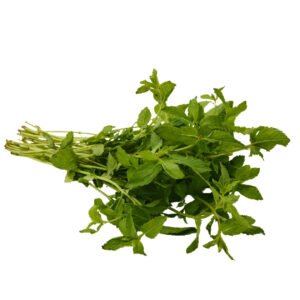 MINTLEAVES (PUDINA)